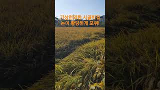 기상천외한 시골빈집 논이 황당하게 포위! 재미있는 Shorts 시골집 옛날집 여행 부동산 빈집
