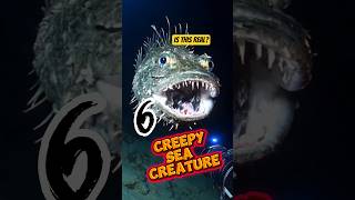 6 Creepy Sea Creatures That’ll Haunt Your Dreams 👀#CreepyCreatures #DeepSeaHorror #OceanMystery