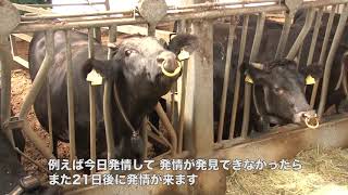 がんばる！畜産！4  総集編　畜産の最新研究・技術を見る 30分