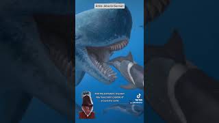 These Whales have a Secret Weapon