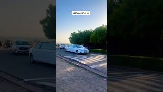 Limousine 😱❤️ #shorts #limousine #cars