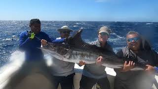 Cabo San Lucas Marlin 2022