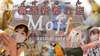 Moff アニマルカフェ イオンモール 幕張新都心店 | MOFF ANIMAL CAFE