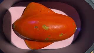 DIY: making scape bunny molding | making water-rat molding