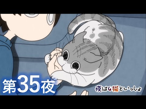 アニメ『夜は猫といっしょ』第35夜「寝てるネコにちょっかいを出したくなる」