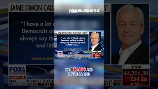 Top banker Jamie Dimon calls Democrat 'friends' ‘idiots’: ‘Big hearts and little brains’ #shorts