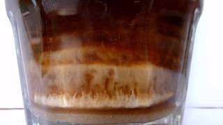 Double Diffusion Experiment