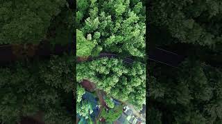 Some colour shades of Nature in Drone view | #aerialphotography #earthfocus #natureinfocus