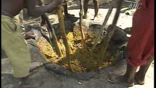Making palm oil ヤシ油を作る