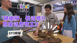 「豬膽肝」長這樣!! 原來這麼費工!! | 啊喔！最Kiang駐村小隊 | EP3精華 | 洪都拉斯 施名帥 温貞菱 高英軒 | 四季線上