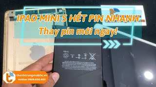 Thay Pin iPad Mini 5 Dung Lượng Cao - Giá Rẻ - Thay Lấy Liền | Thành Trung Mobile #thanhtrungmobile