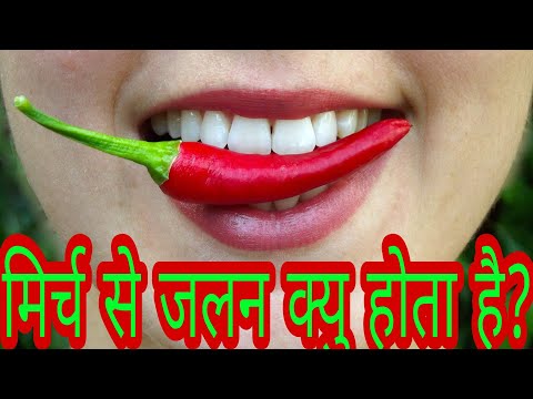 #mathandfacts#Factz1  मिर्च कि जलन facts| Amazing facts why chilly always burn. #amazingfacts.