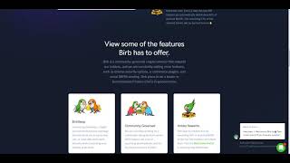 BIRB — Hyper-Deflationary Defi token built on the BSC Chain