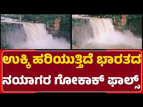 Ghataprabha ನದಿ ಅಬ್ಬರಕ್ಕೆ ಮೈದುಂಬುತ್ತಿರುವ Gokak Water Falls | Belagavi | @newsfirstbelagavi