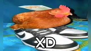 Videos De Risa #17 🤣🔥 Si Te Ries Pierdes ☠️❌ [977,777% IMPOSIBLE NO REÍRSE]😎 Try Not To Laugh 😎