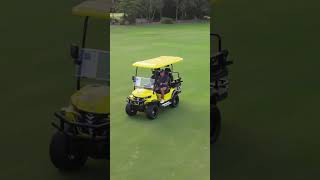Eco Cruiser Elite 2 plus 2