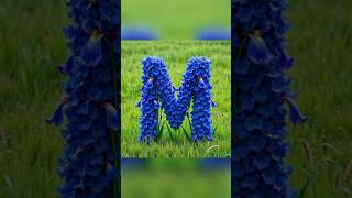 M letter video #nameart #namestatus #nameartvideo #shorts #shortvideo #trendingshorts #viralvideo