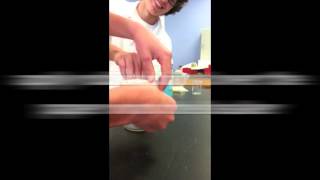 Banana DNA extraction lab video