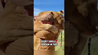 This orphaned lion cub was lucky to meet a kind man who saved it after being abandoned #rescue #lion