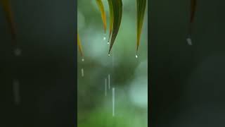 Beautiful Relaxing Piano Music with Rain Sounds 😴 You & Me