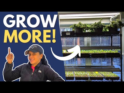 Expand Your Grow Light System | Easy Garden Hack || Budget Gardening