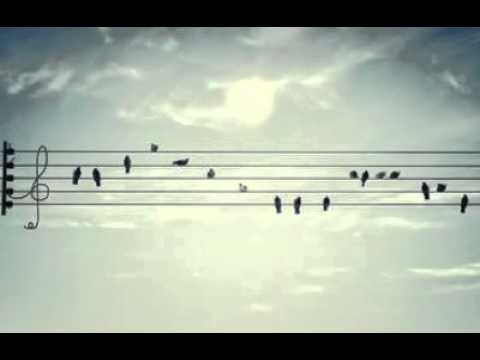 Birds on a wire