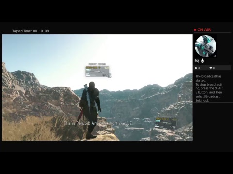 Mgsv 2