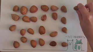 Nuts and ➕➖✖➗ plus, minus, multiplied by, divided by - Comprehensible Input Korean