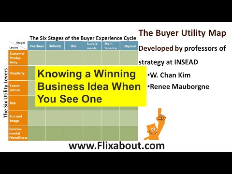 Knowing a winning business idea when you see one | Blue Ocean Strategy | The Buyer Utility Map