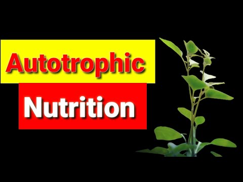 Life processes - 2 || Autotrophic Nutrition ||