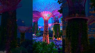 gardens by the bay | Singapore sightseeing places | Gardens by the bay Singapore | Super tree