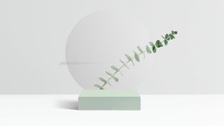 Is a Minimalist Website Design Right For Your Brand?