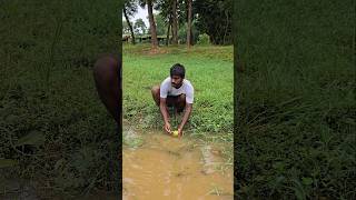 When the elder brother went to eat guava 😂🤣 #shorts #funny