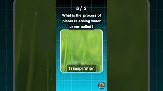 5 Fascinating Nature Questions to Prove You're a Science Whiz!