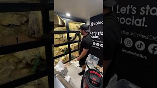 CLEANING SNAKE CAGES 🖤 #metal #rock #music #pets #reptiles #snake