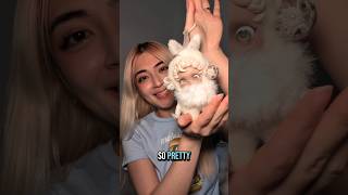 lucky pull from the Skullpanda L'impressione blind box 🦋 #blindbox #unboxing #skullpanda