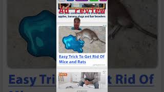 Simple life hack to get rid of rats and mice