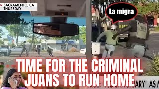 Criminal Illegals Run Screaming From ICE And..... Get Arrested Anyway