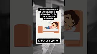 Nursing Students: Practice Question 👩🏻‍⚕️ Pt 14 Med-Surg -Nervous System
