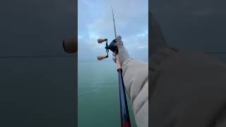 IS THE SLX DC THE BEST BAITCASTING REEL??? 🎣 #fishingreel