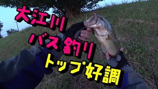 5月下旬 大江川でバス釣り!! 朝一トップ好調!!