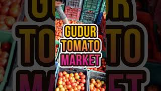 Wholesale Markets of Andhra Pradesh | How to Export from Andhra Pradesh | Part - 2
