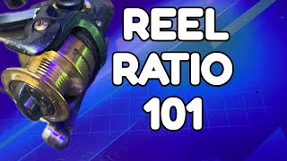 Fishing Reel Gear Ratio SECRET No One Tells You!