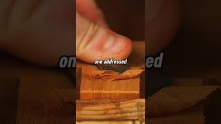 #carpentry #alltools #kitchen #woodwork #beautifultools #wood #woodenalmari #redditstories