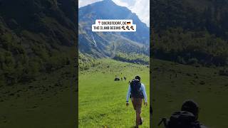 🇩🇪#oberstdorf #germany #hike #camping #trekking #mountain #travel #trending #viralshorts #indian