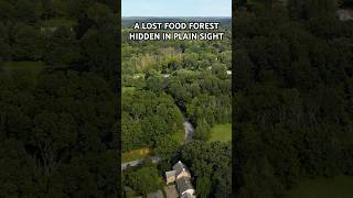 A Lost Food Forest Hidden in Plain Sight