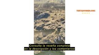 Reseña del Radio portátil Motorola TALKABOUT T82 Extreme Quad Set con 4 pzas, UHF, negro y amarillo