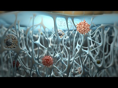 Immunomic Therapeutics
