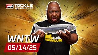 The Largest Swimbait at Tackle Warehouse!!! Plus F5 Custom Rods & Huge Evergeen Topwaters