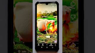 Smart Appliances!, Tools Items, New Gadgets, Versatile Utensile, #shorts #gadgets